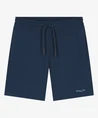 Ballin Amsterdam Bermuda Vertical Stripes