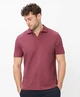 BRAX Polo Princeton