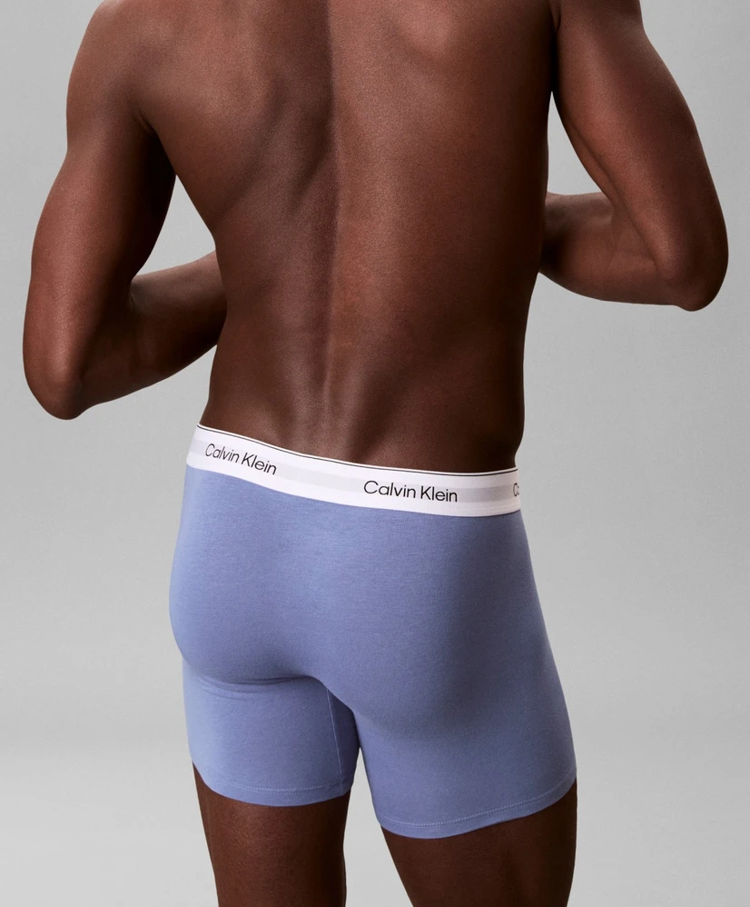 Calvin Klein Boxer Brief 3-Pack