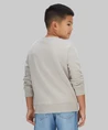 Calvin Klein Sweater Mono Mini Badge