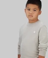 Calvin Klein Sweater Mono Mini Badge