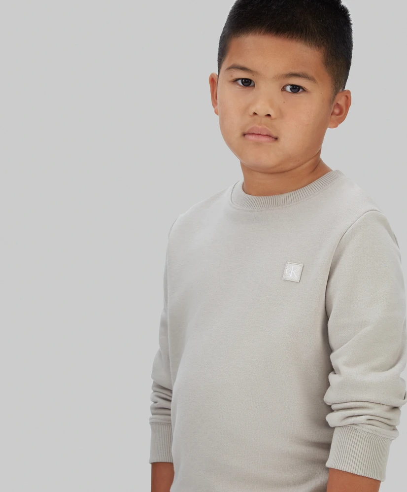 Calvin Klein Sweater Mono Mini Badge