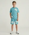 Cars Jeans Short Florian