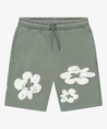 Cars Jeans Short Florian