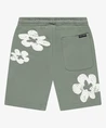 Cars Jeans Short Florian