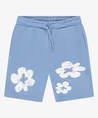 Cars Jeans Short Florian