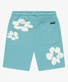 Cars Jeans Short Florian
