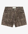 Cars Jeans Short Zebby Leopard