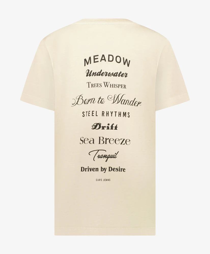 Cars Jeans T-shirt Rayzo