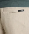Chasin' Cargo Broek Stone Dual