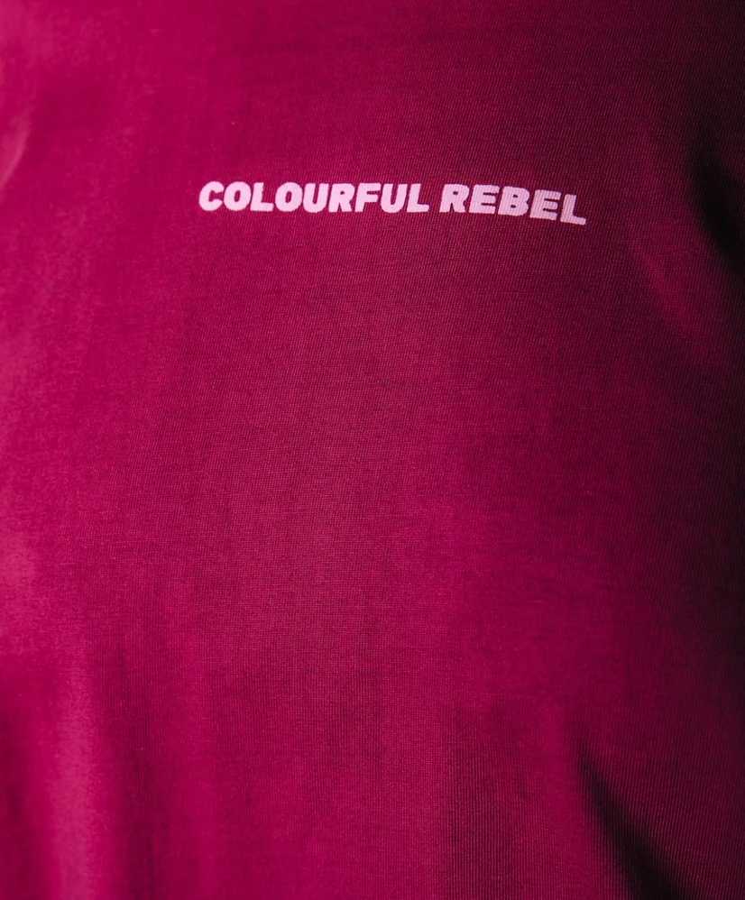Colourful Rebel T-shirt Boxy Logo