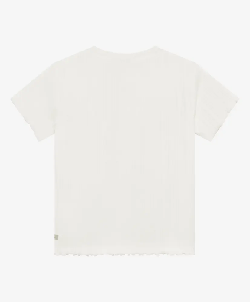 Daily7 T-shirt Artwork