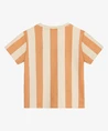 Daily7 T-shirt Big Stripe