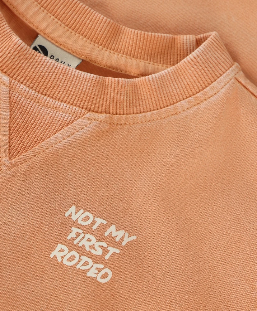 Daily7 T-shirt Not My First Rodeo
