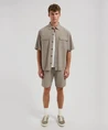 Dstrezzed Bermuda Logan Pinstripe