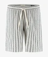 Dstrezzed Bermuda Logan Winner Stripe