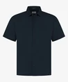 Dstrezzed Polo Liam