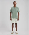 Dstrezzed Polo Roy