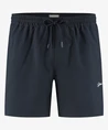 Dstrezzed Zwemshort River Striped