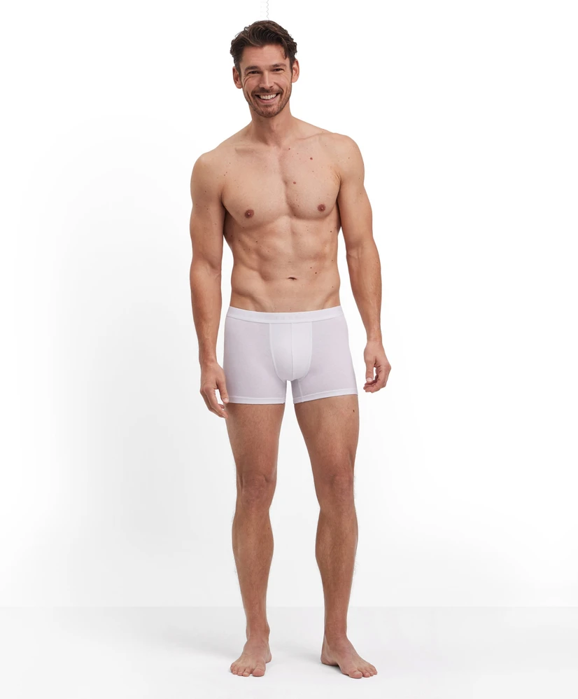 FALKE Boxer Daily Climate Control