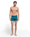 FALKE Boxer Print