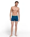 FALKE Boxer Print