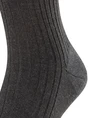 FALKE Bristol Pure SO