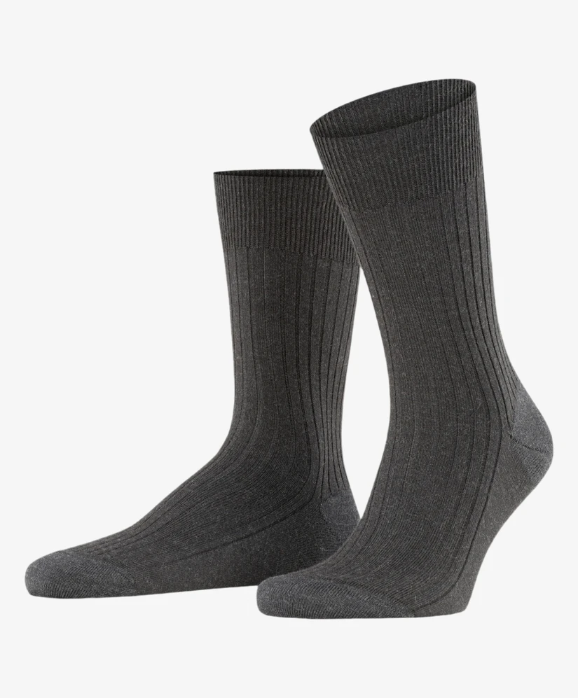 FALKE Bristol Pure SO