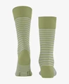 Falke Sokken Family Special Edition