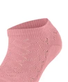 FALKE Sokken Family Special Edition