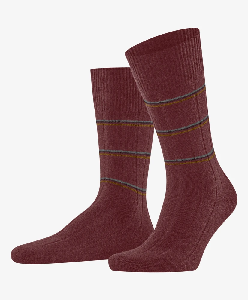 Falke Sokken H FALKE Lhasa Rib SO Special Edition