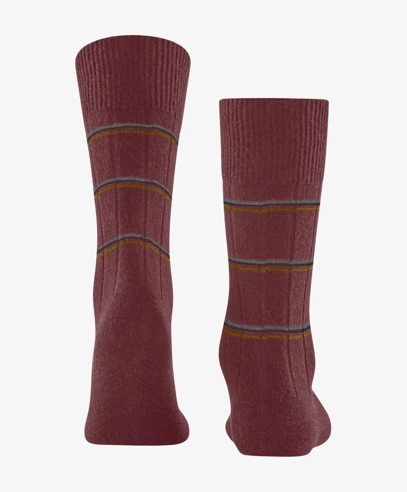 Falke Sokken H FALKE Lhasa Rib SO Special Edition