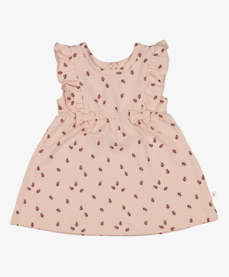 FEETJE Jurk Ladybug Strikjes