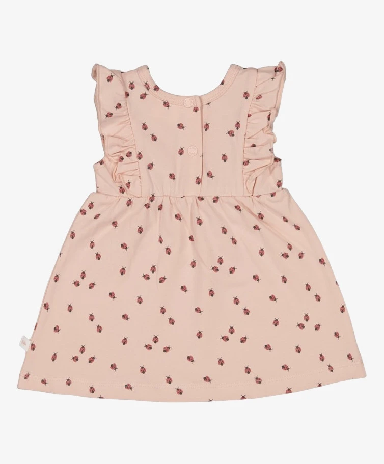 FEETJE Jurk Ladybug Strikjes