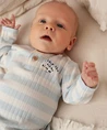 FEETJE T-shirt Strepen