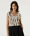 GARCIA T-shirt Zebra