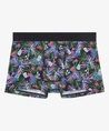HOM Boxer Havana