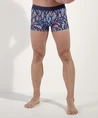 HOM Boxer IndianCreek