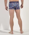 HOM Boxer IndianCreek