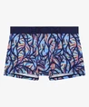 HOM Boxer IndianCreek