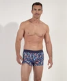 HOM Boxer IndianCreek