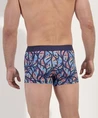 HOM Boxer IndianCreek