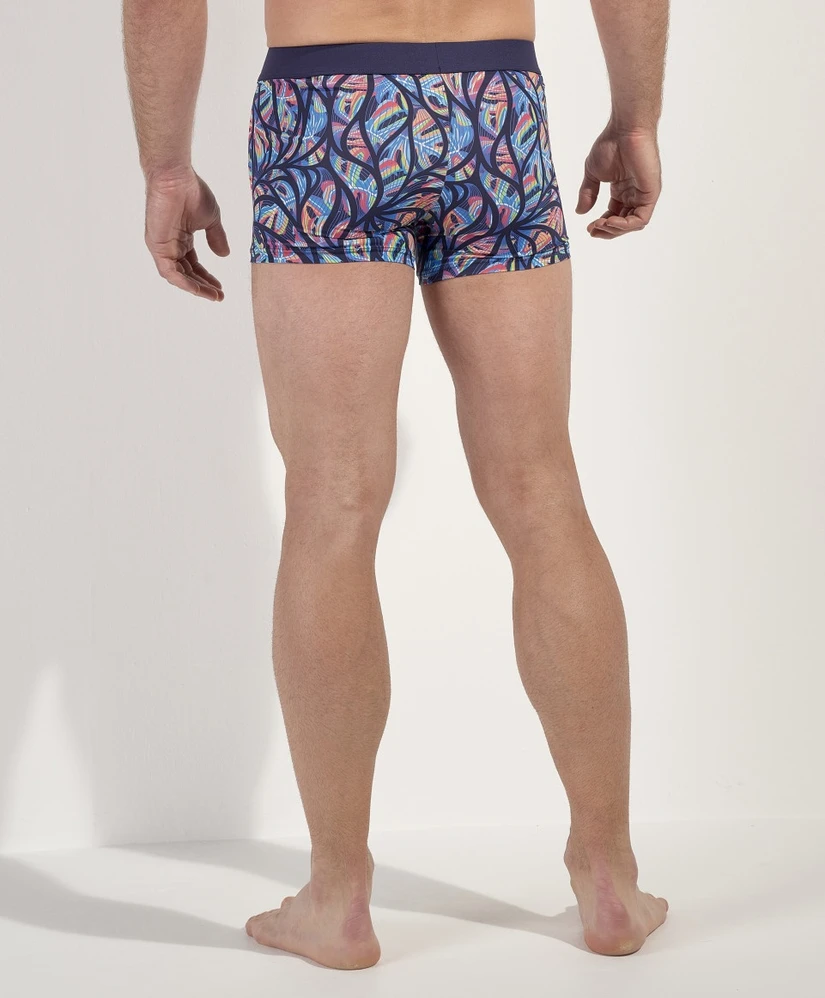 HOM Boxer IndianCreek