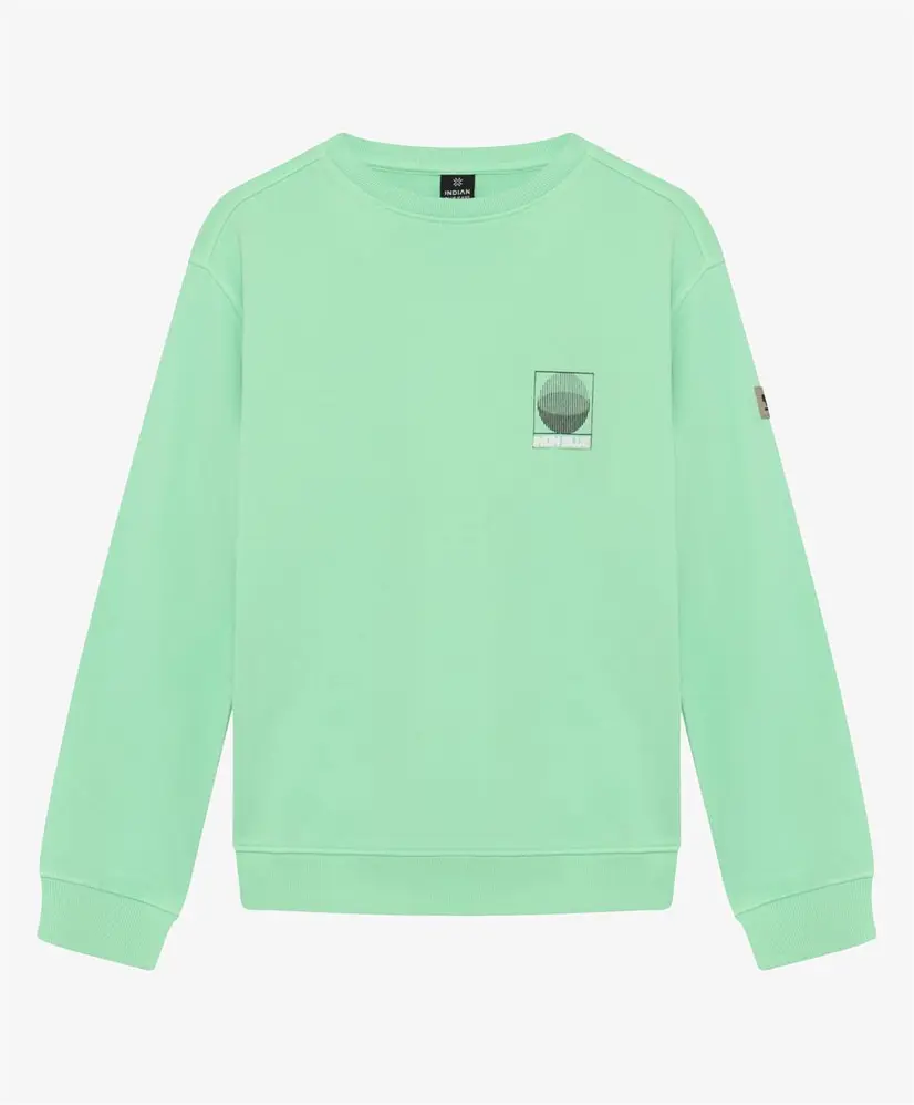 Indian Blue Jeans Sweater Bold Backprint