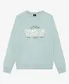 Indian Blue Jeans Sweater Chest Artwork