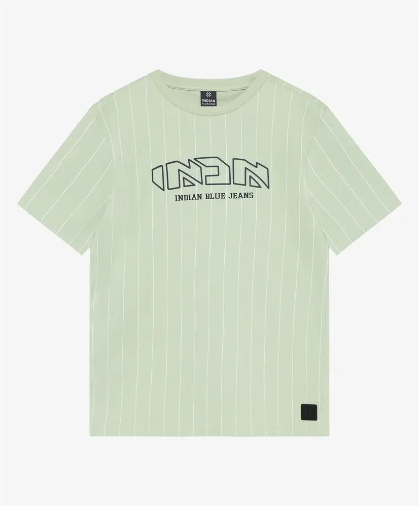 Indian Blue Jeans T-shirt Pinstripe