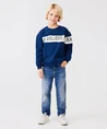 LTB Jeans Frey B