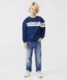 LTB Jeans Frey B