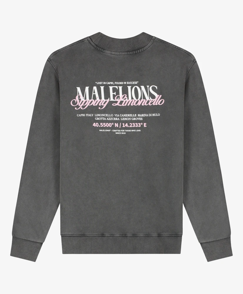 MaleLions Sweater Washed