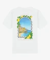 Malelions T-shirt Amalfi Window
